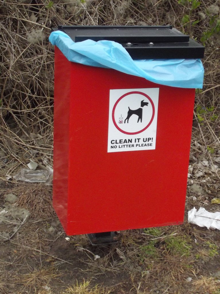 What the new Public Space Protection Orders mean for dog owners.