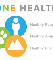 One Health - a new approach