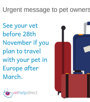 Brexit and Pet Travel - URGENT Update for Pet Owners