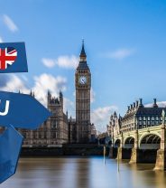Brexit and Pet Passports: January 2020 Update