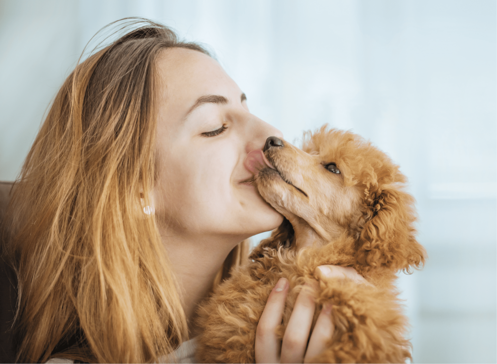 Coronavirus & Pets Everything You Need To Know Vet Help Direct