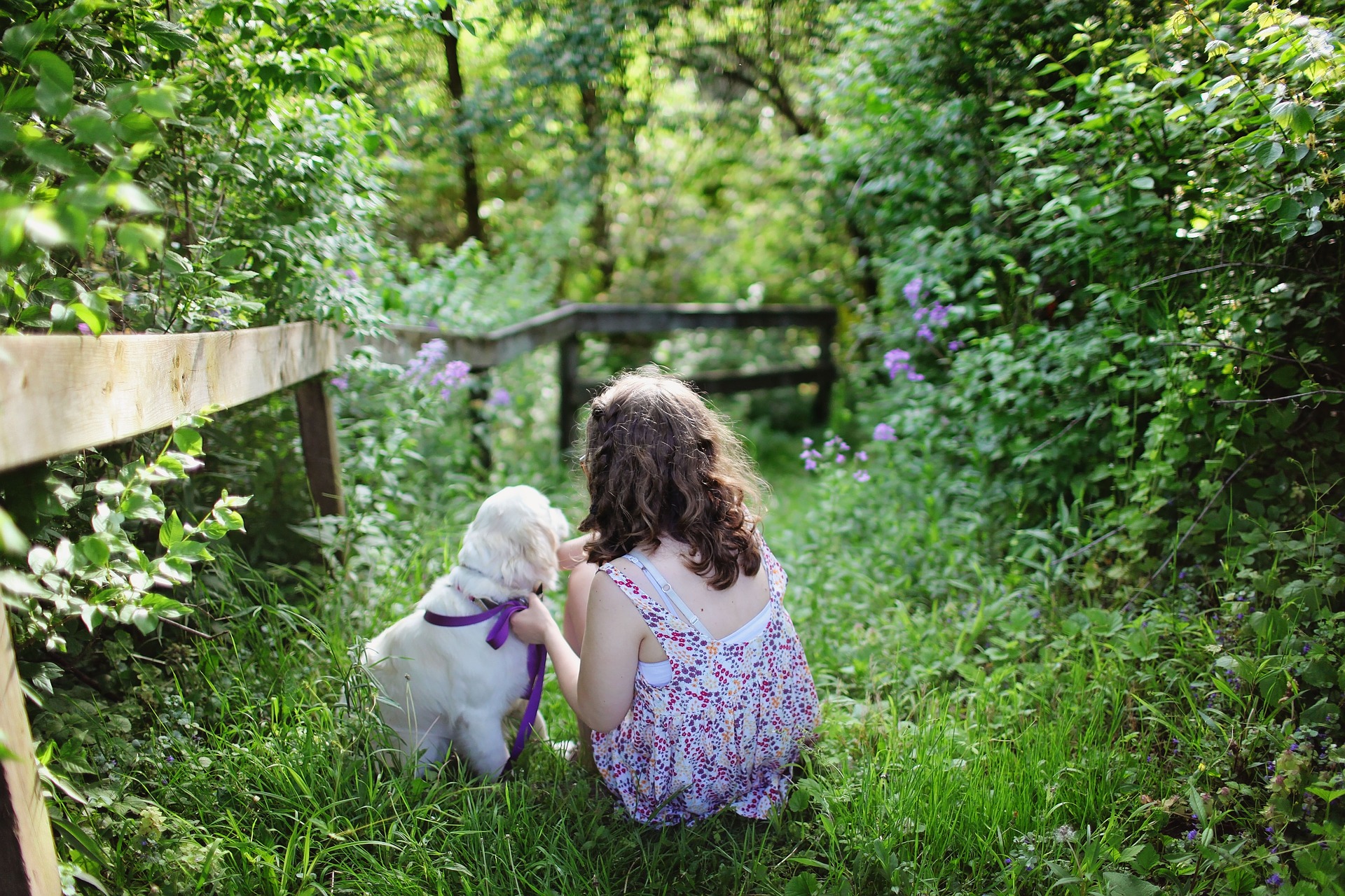 what-is-the-best-pet-for-an-autistic-child-vet-help-direct