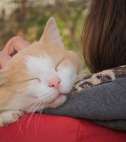 5 Thrifty Tips for Caring for your Cat