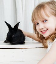 What rabbits are cheapest to insure?