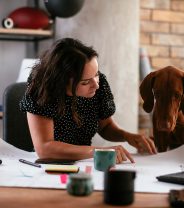 What is ‘social licence to operate’ and how does this impact animal welfare? 