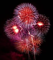 Managing Firework Fears in Dogs and Cats - A 2023 Update