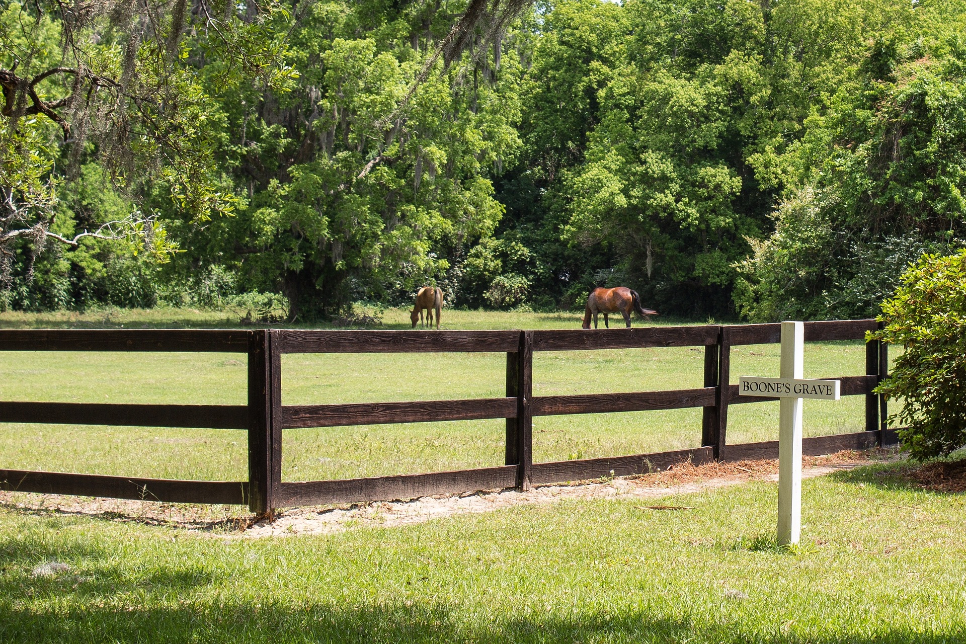 Can I bury my horse in the garden? Vet Help Direct