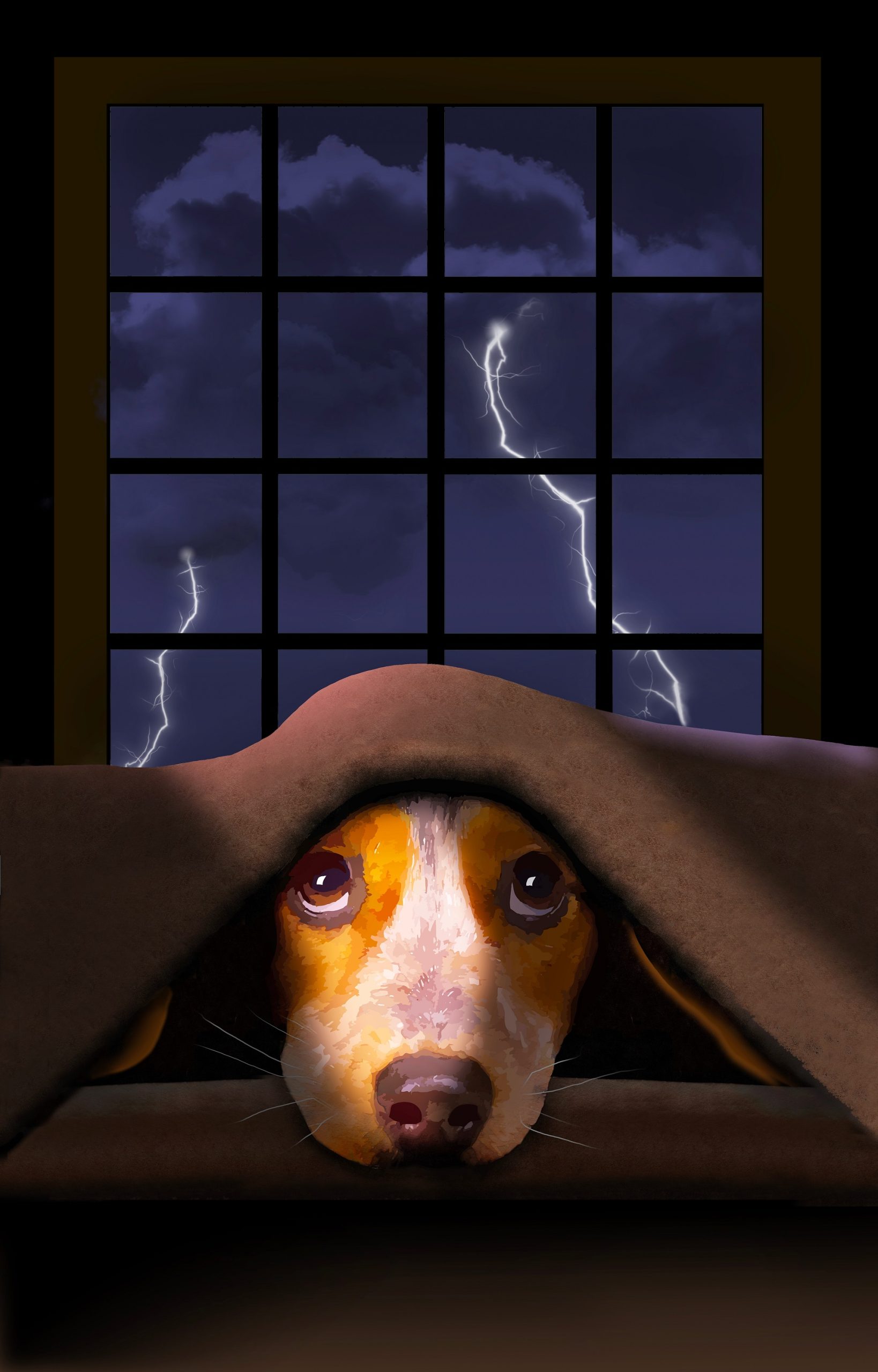 are dogs scared of lightning
