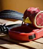 What’s the law around dog collars and harnesses?