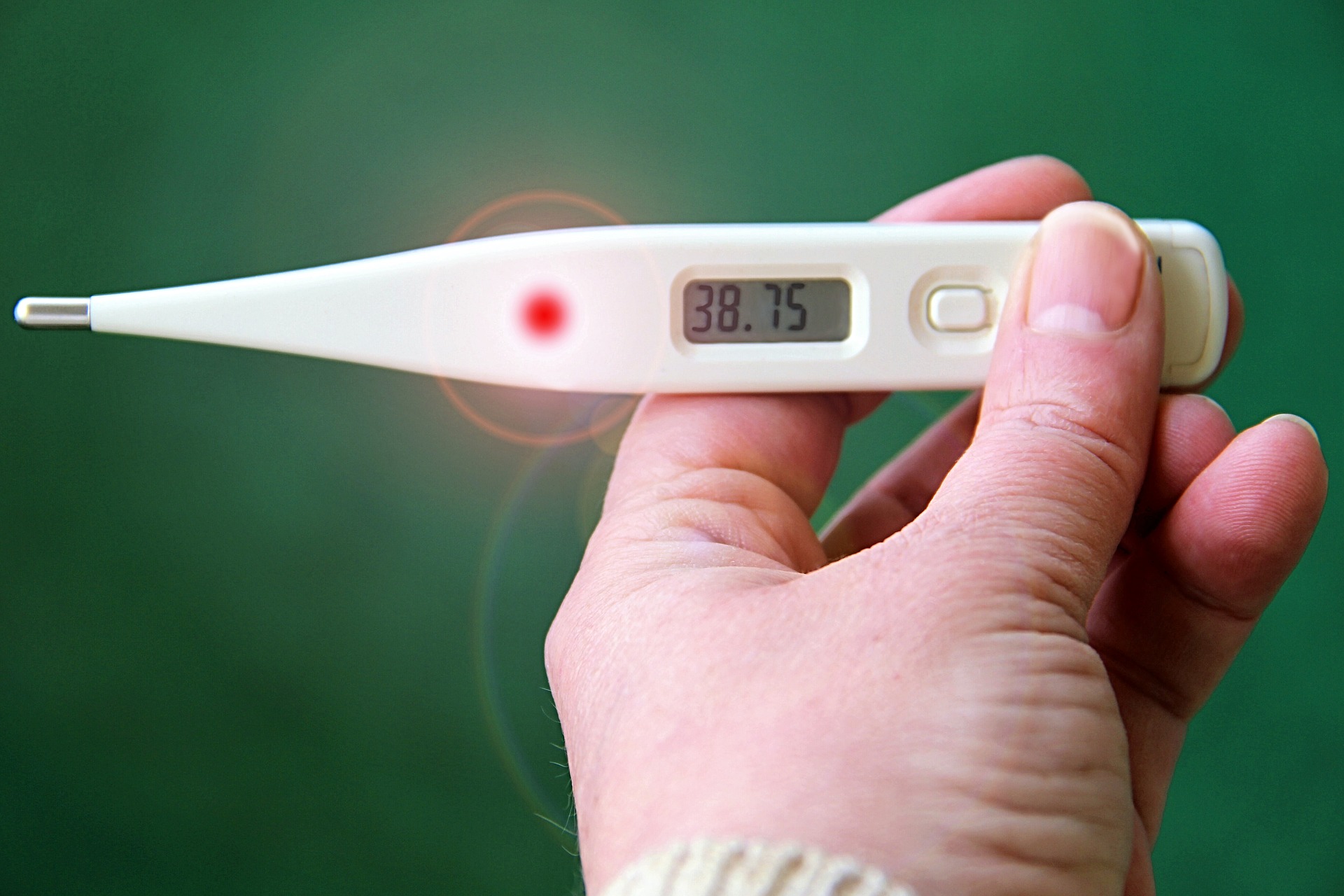 How To Check Dog Temperature With Human Thermometer at Gregory Reed blog