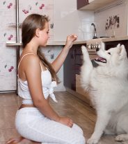 7 Secrets To Make Dogs Like You