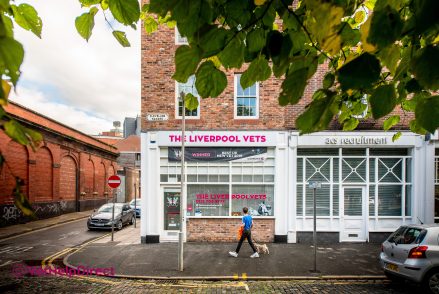 The Liverpool Vets