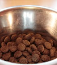 Is more meat always better in a dog food?