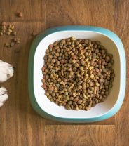 Are there any diets that can help with arthritis in dogs?