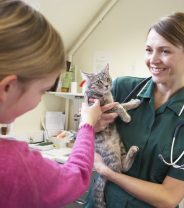 How can I find out whether my vets is a corporate?