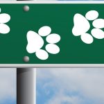 Green dog pawprint sign