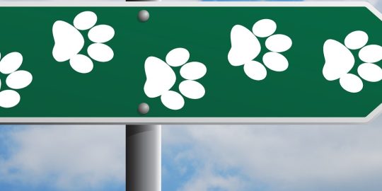 Green dog pawprint sign