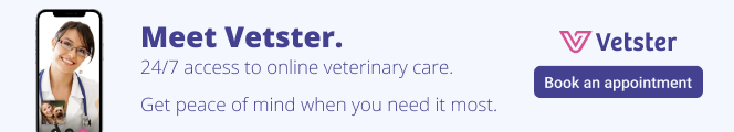 animal medicines and the law vet help direct