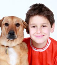 What dog makes the best pet for families with small children?