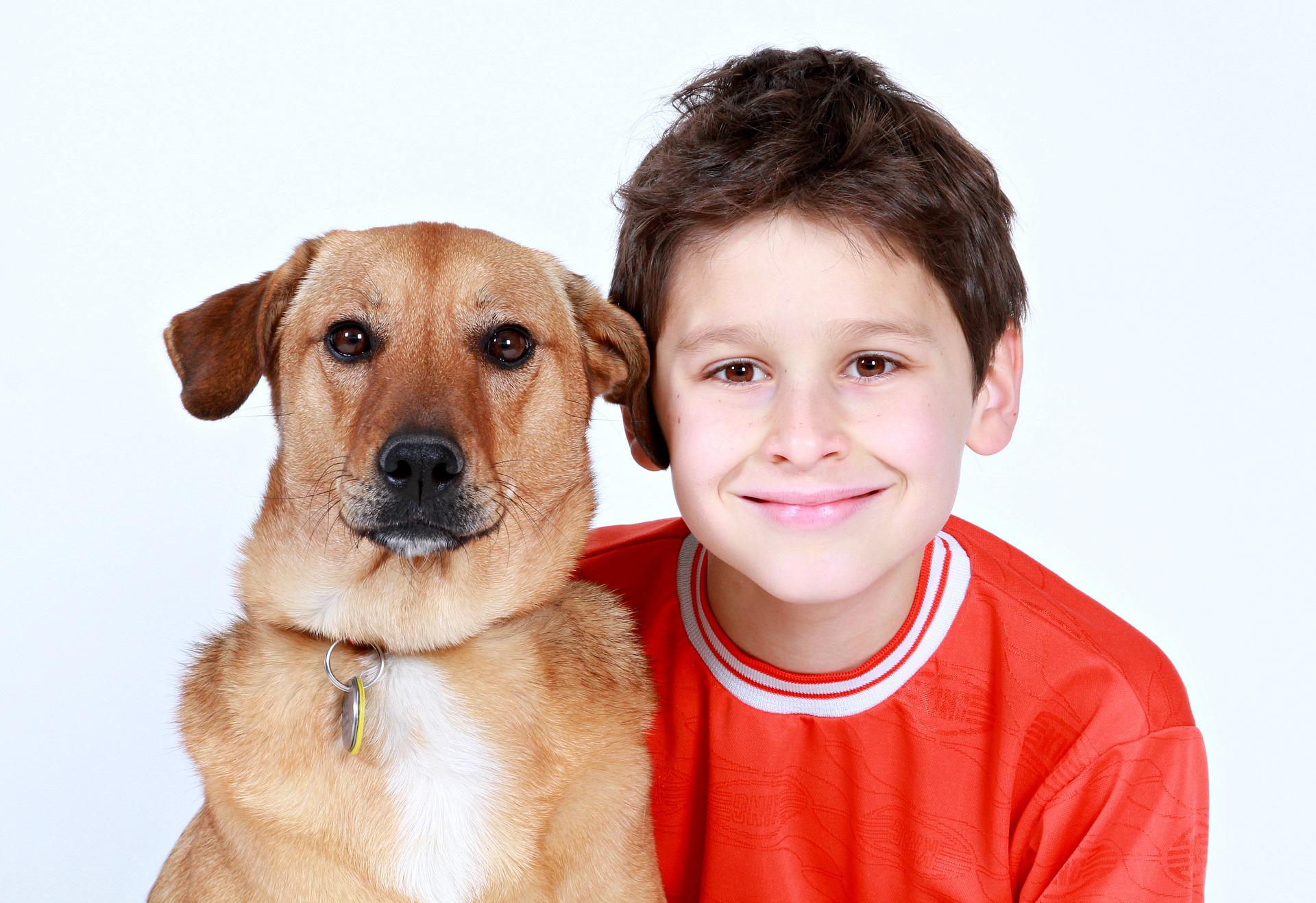 What dog makes the best pet for families with small children? Vet