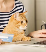Vets Own Pets Panel: Do Vets Insure their Own Cats?