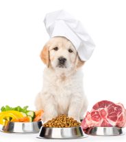 Are home-prepared diets for dogs safe?