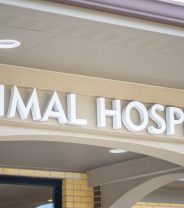 How does a vets become a referral hospital?