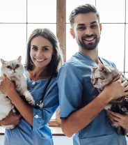 What is the difference between a second opinion and a referral to another vet?