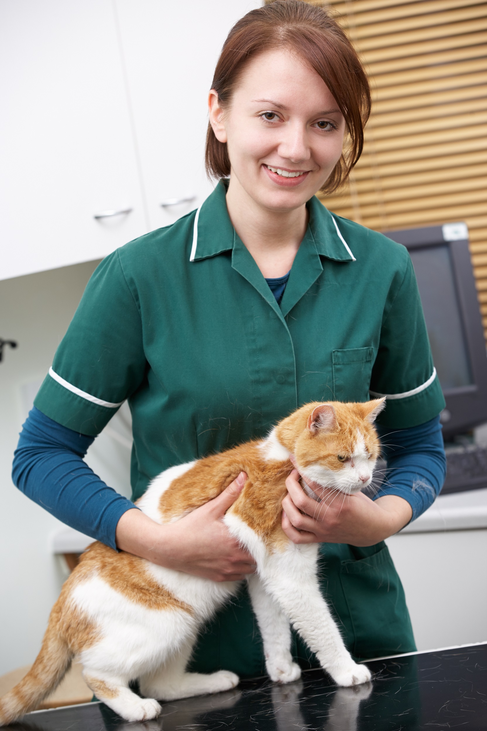 Vet nurse with older cat