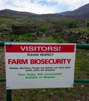 Preventing infection in your flock: the importance of biosecurity for smallholders