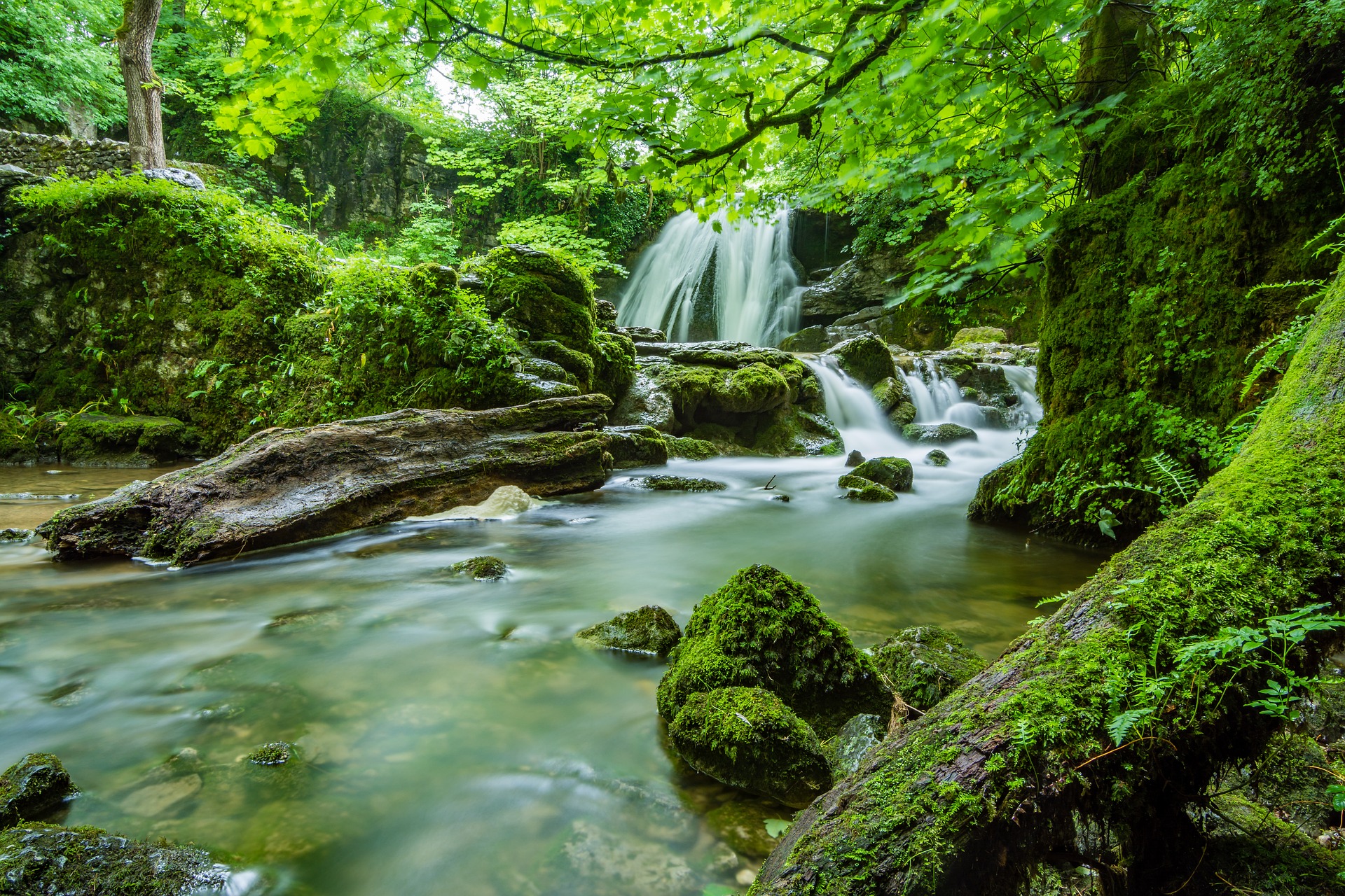 What worm treatment for cats is most environmentally friendly? Vet Help Direct What worm treatment for cats is most environmentally friendly? Vet Help Direct