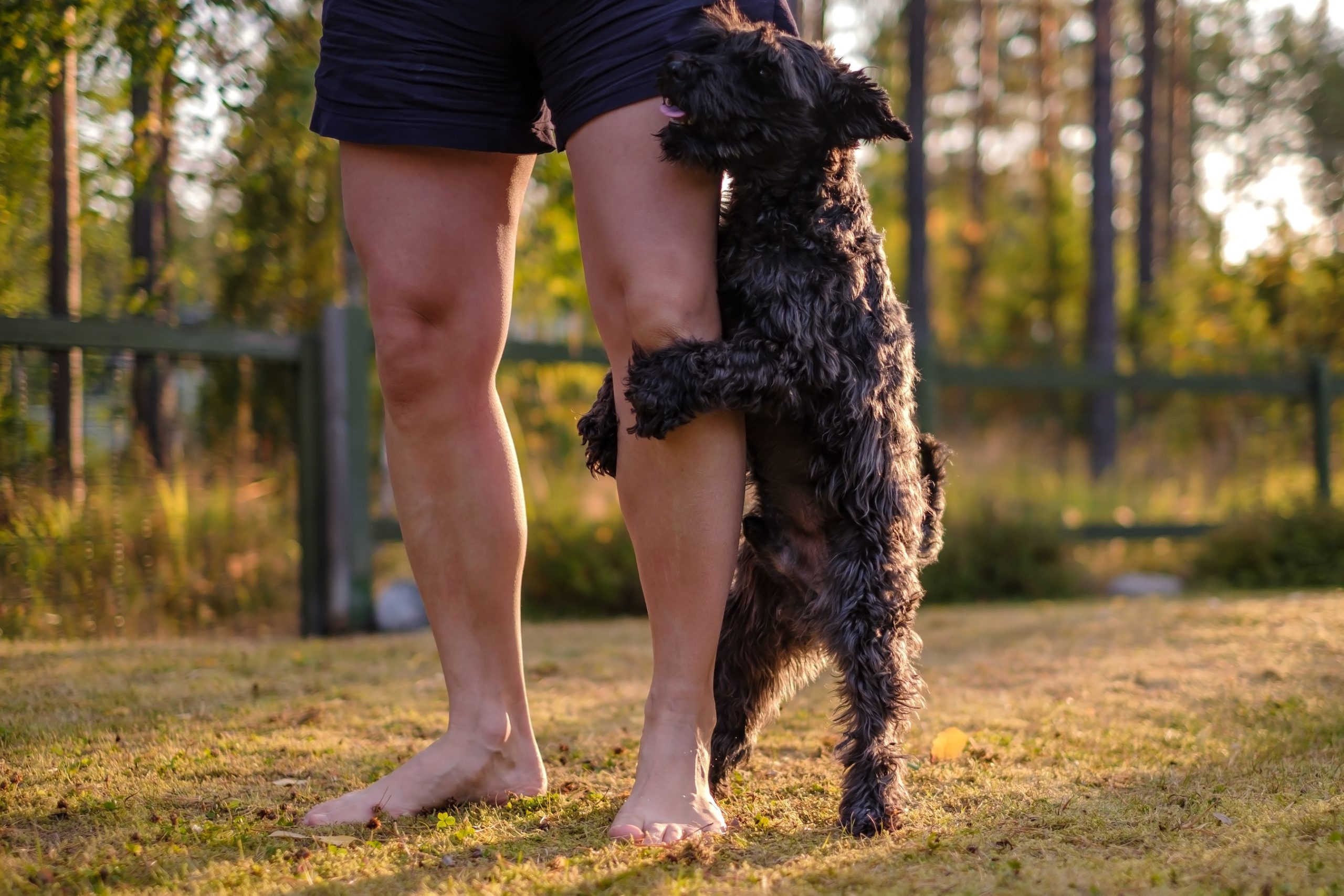 is it normal for a 3 month old female puppy to hump