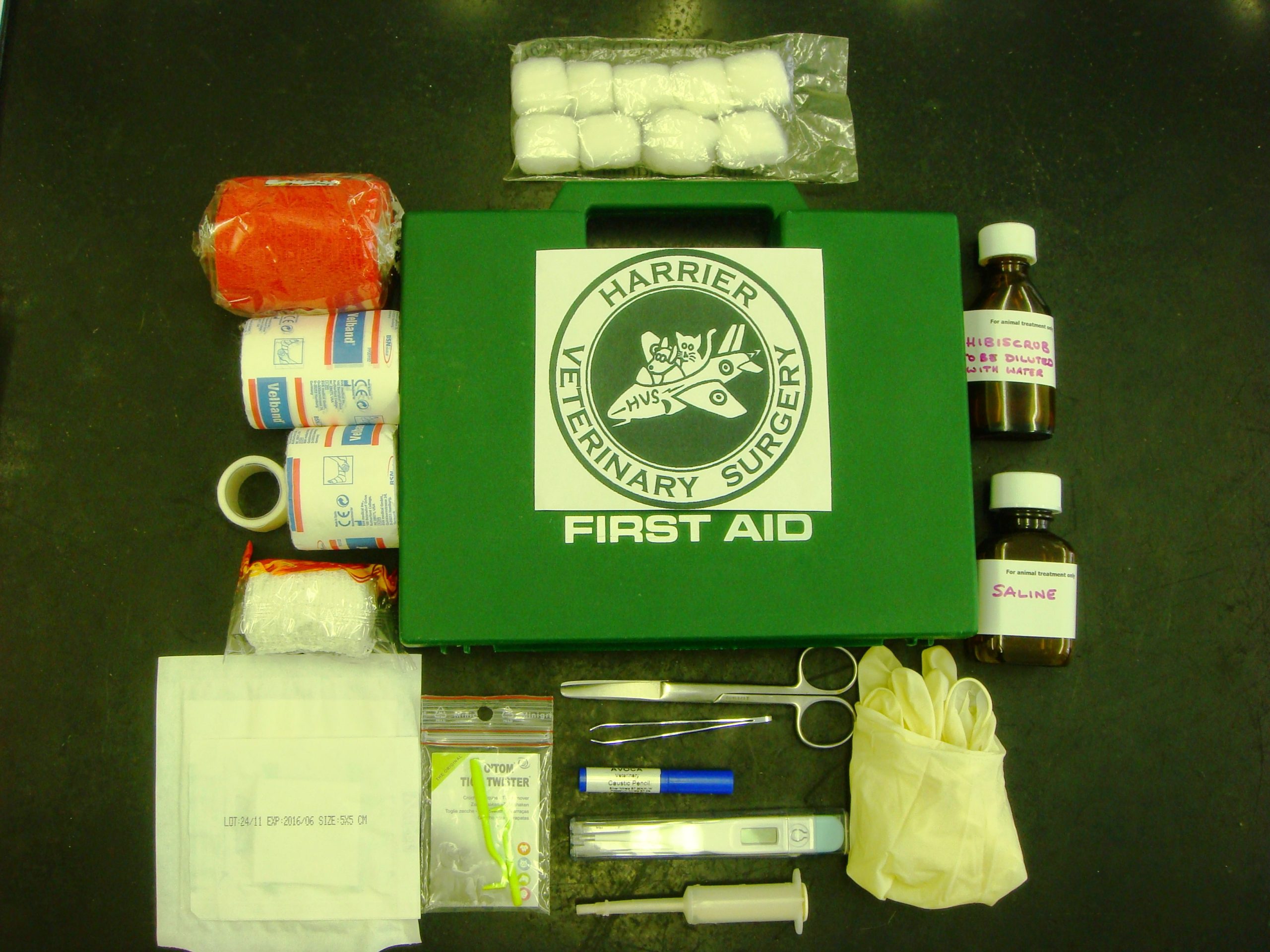What Do I Need In A Pet First Aid Kit Vet Help Direct