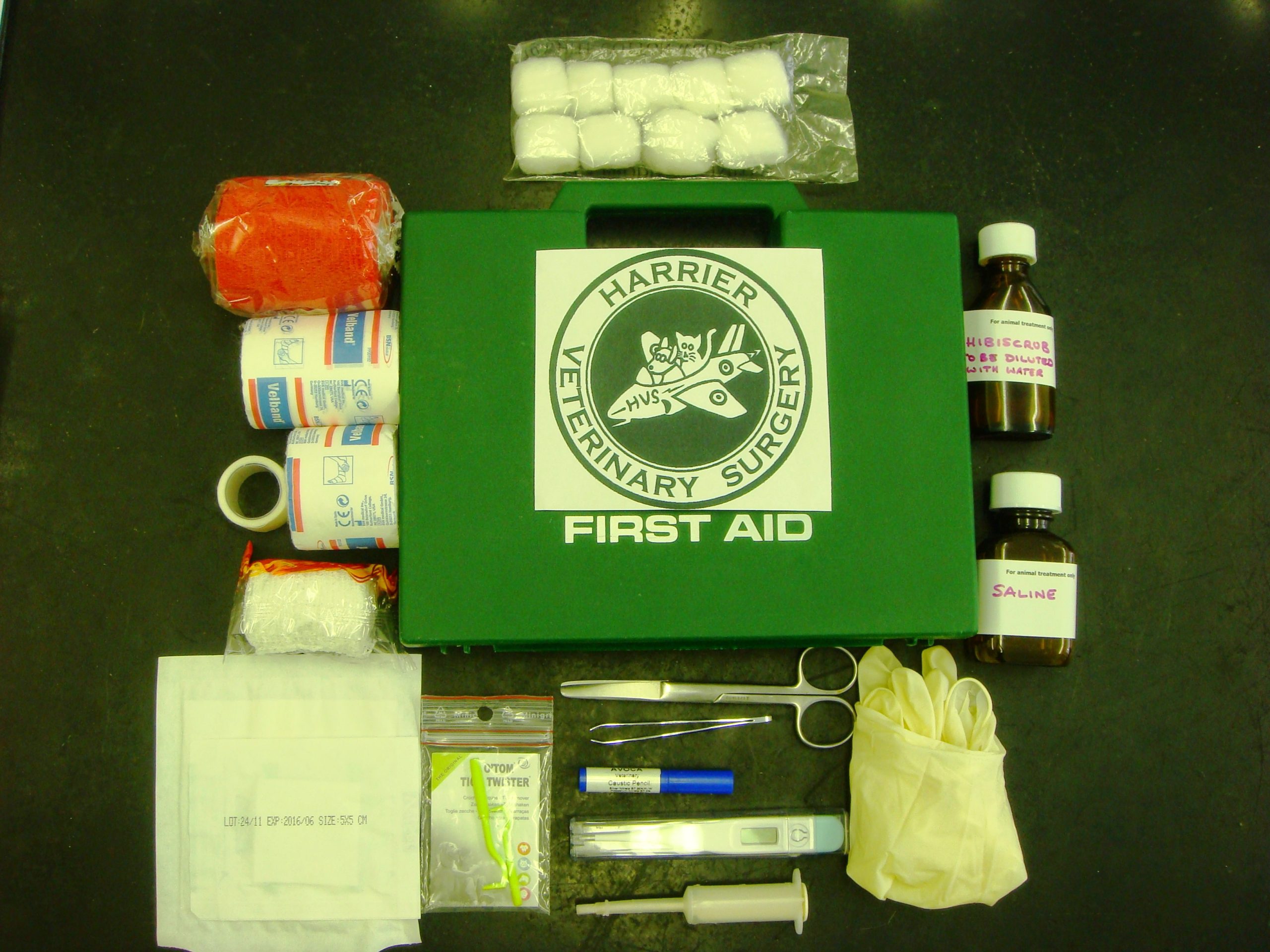 what-do-i-need-in-a-pet-first-aid-kit-vet-help-direct