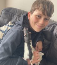 Rats are the best children’s pet - full stop!