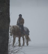 How can I keep my horse fit over winter?
