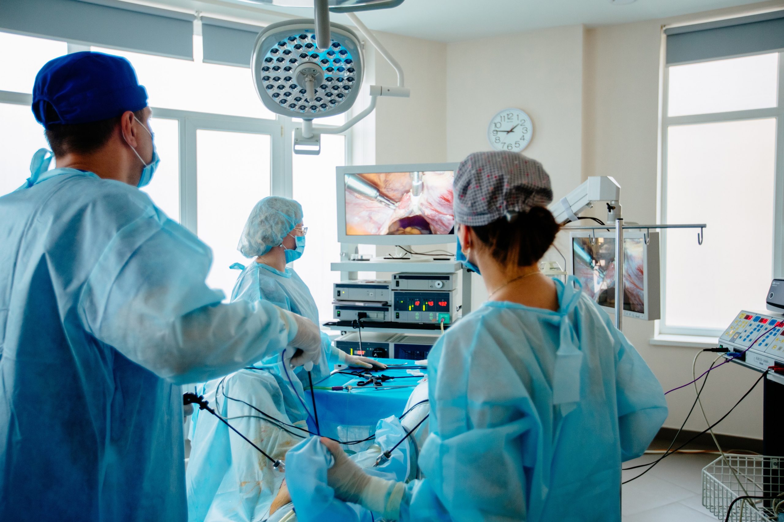 What Does Laparoscopic Surgery Mean On A Vets Website And Is It 