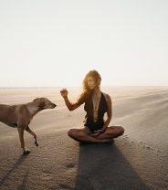 How to meditate with your dog