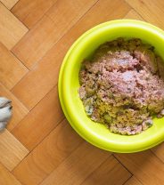 Is home-cooked pet food safe for dogs?