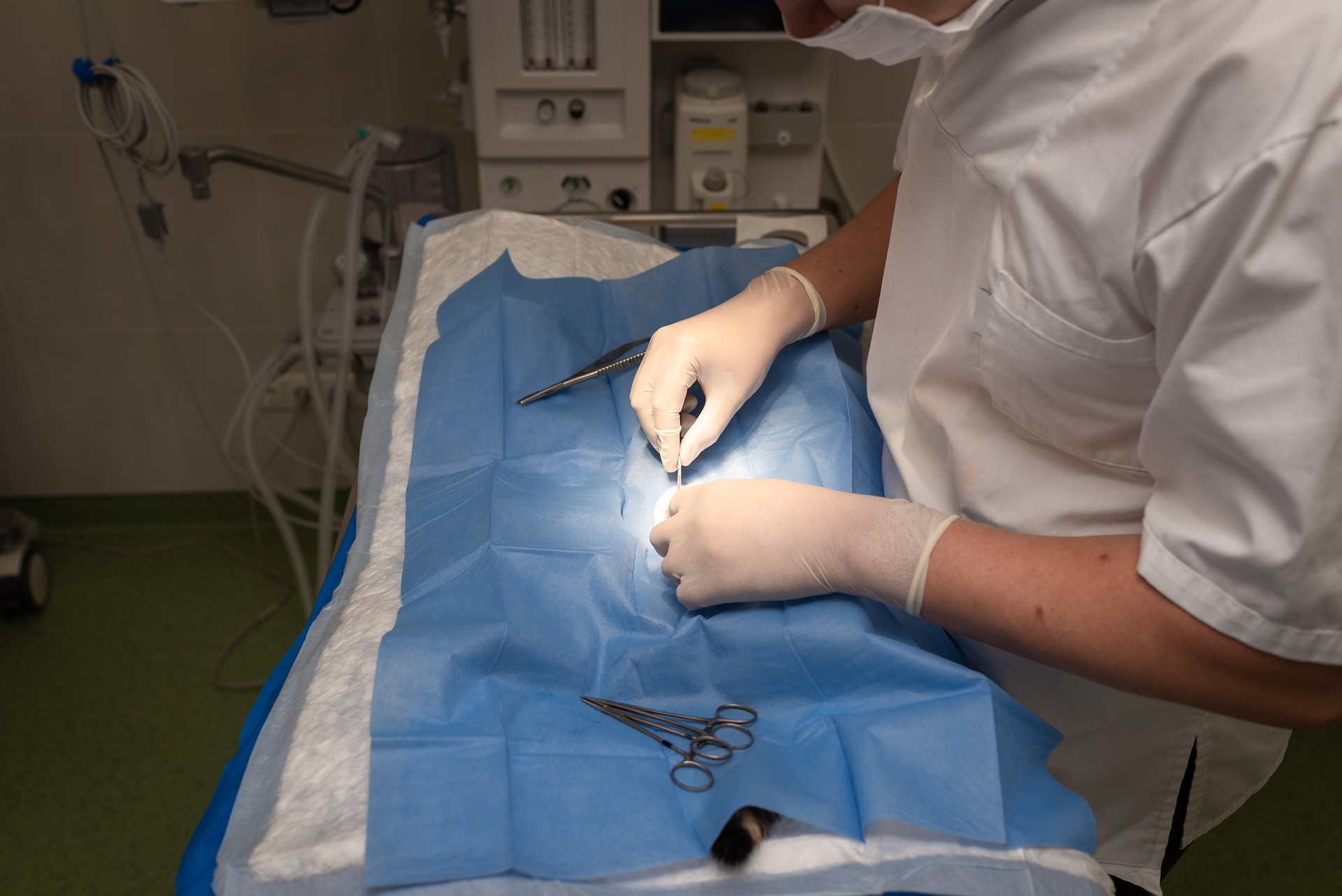 Why does routine neutering cost £200 but a tumour removal costs nearly