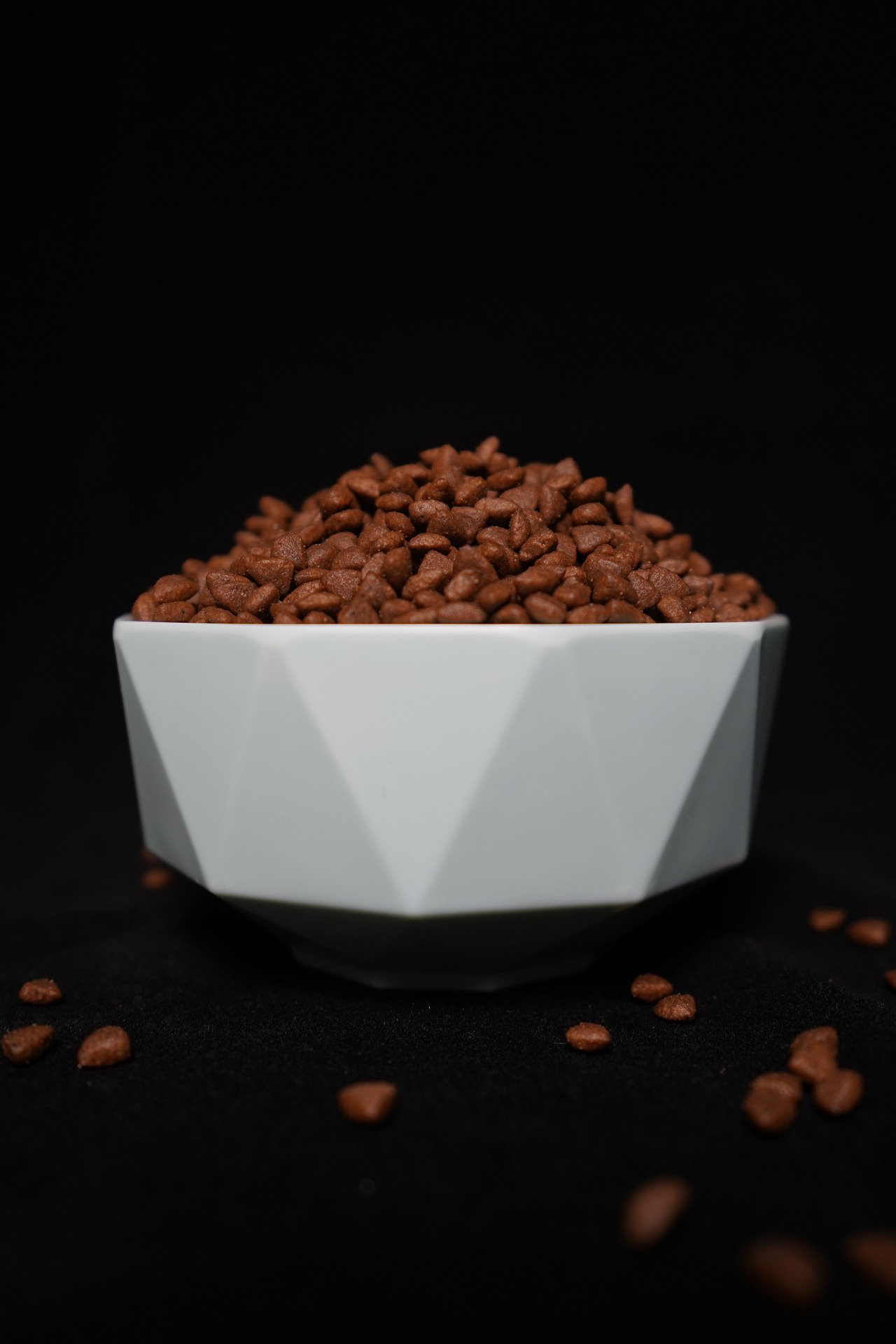 Bowl full of dried dog food