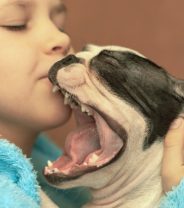 Why Does My Dog Yawn When I Kiss Him?