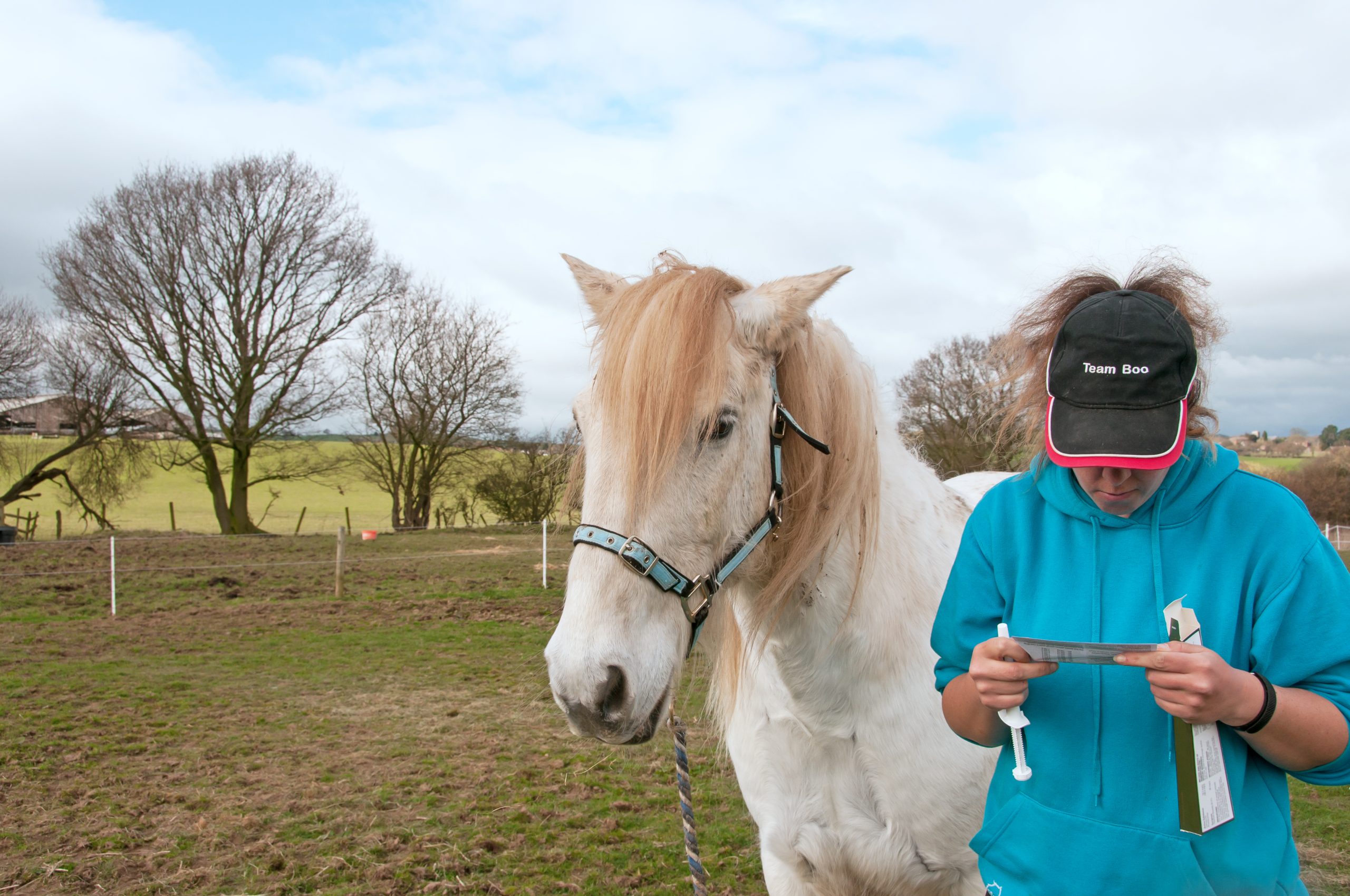 worming-horses-in-the-spring-vet-help-direct