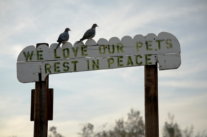 We Love our Pets sign