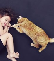 What cat breed is the friendliest?