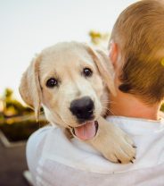 Top tips for a successful pet rehoming