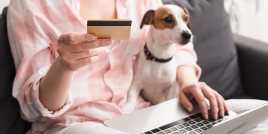 Dog sitting while owner holds credit card