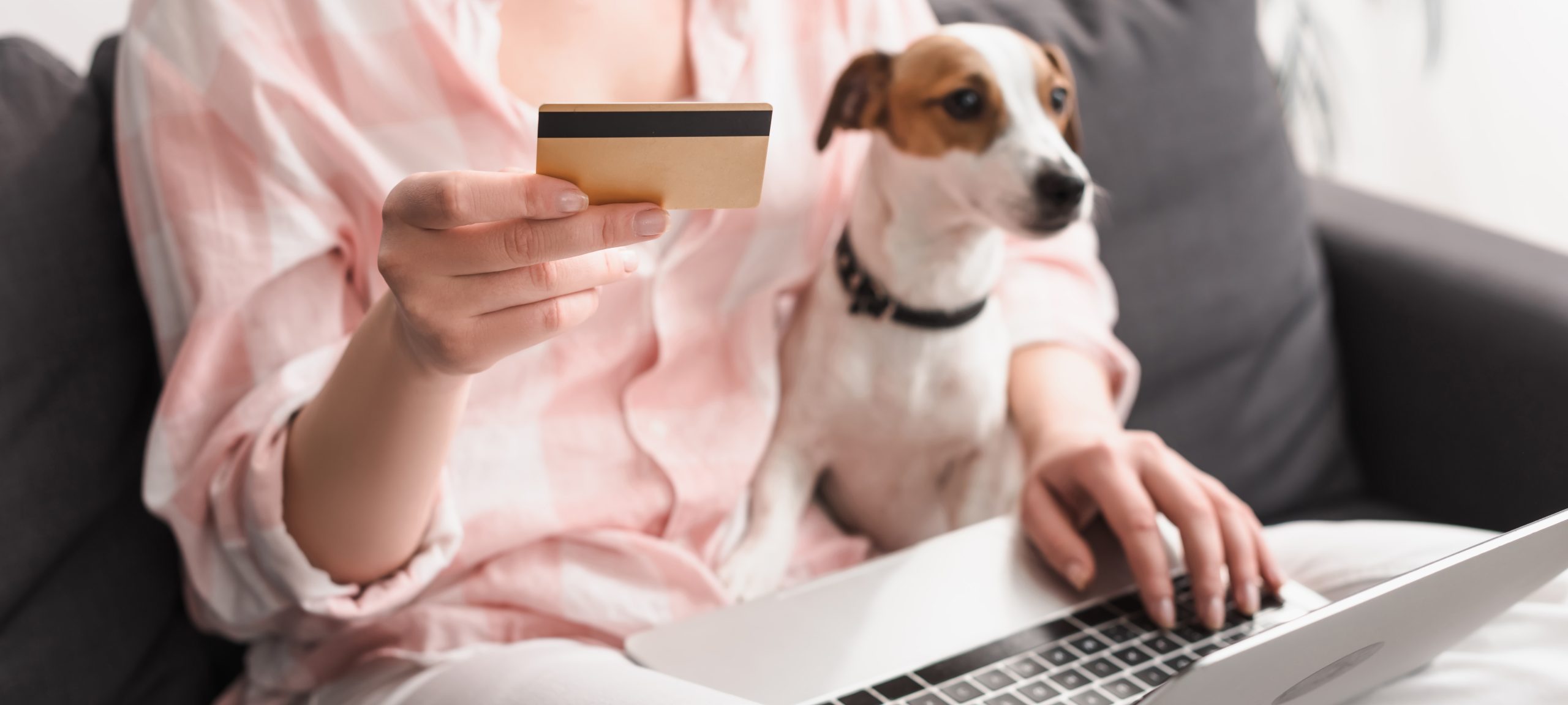 Navigating The Costs Is Pet Insurance Really Affordable In 2023 Pet   Dog Money Card Payment Dog Laptop Shutterstock 1885061623 Scaled 