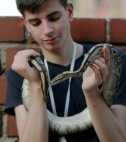 Is it true that snakes cannot infect humans?
