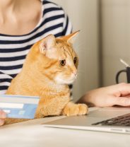 Why does the cost of pet insurance change all the time?
